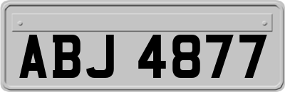 ABJ4877