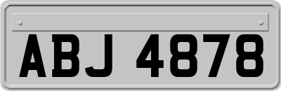 ABJ4878