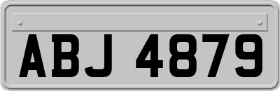 ABJ4879