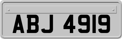 ABJ4919