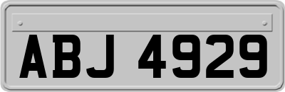 ABJ4929