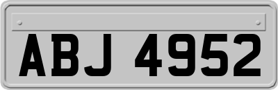 ABJ4952