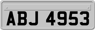 ABJ4953