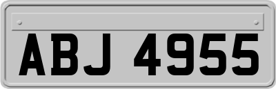 ABJ4955
