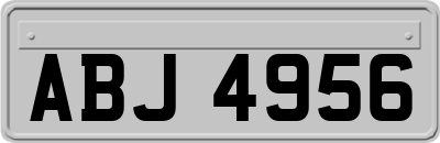 ABJ4956