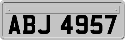 ABJ4957