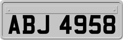 ABJ4958