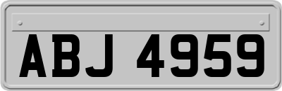 ABJ4959