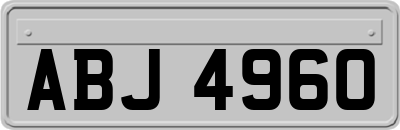 ABJ4960