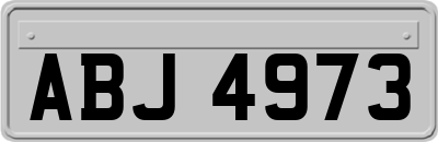 ABJ4973