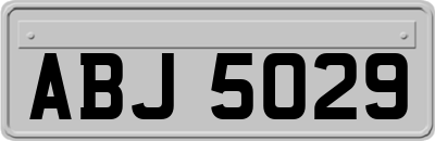 ABJ5029