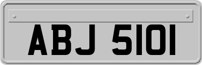 ABJ5101