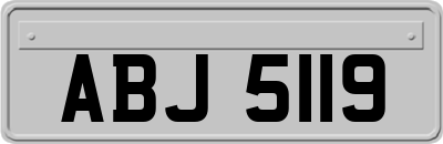 ABJ5119