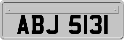 ABJ5131
