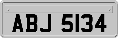 ABJ5134