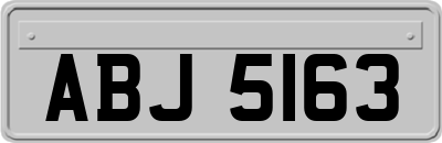 ABJ5163