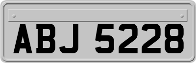 ABJ5228