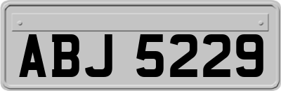 ABJ5229