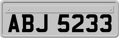 ABJ5233