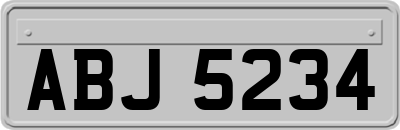 ABJ5234