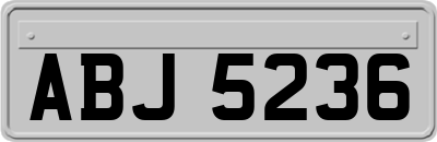 ABJ5236