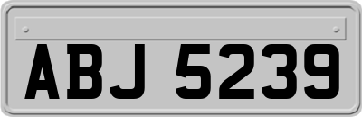 ABJ5239