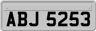 ABJ5253