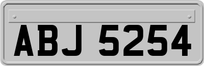 ABJ5254