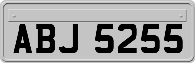 ABJ5255