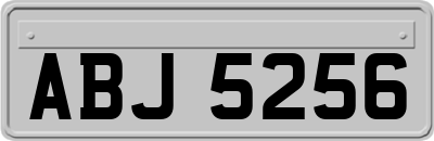 ABJ5256