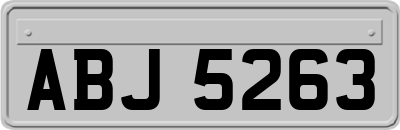 ABJ5263