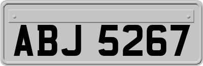 ABJ5267
