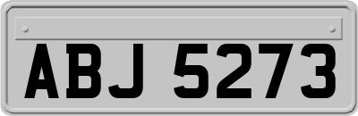 ABJ5273