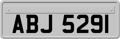 ABJ5291