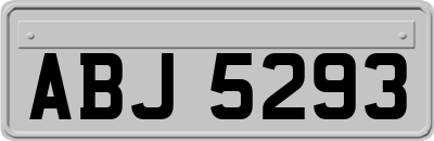 ABJ5293