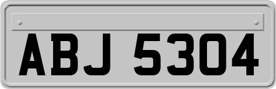 ABJ5304
