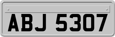 ABJ5307