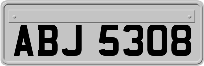 ABJ5308