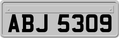 ABJ5309