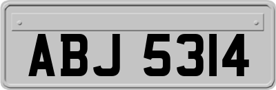 ABJ5314