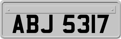 ABJ5317