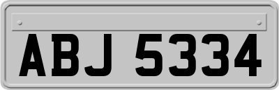 ABJ5334