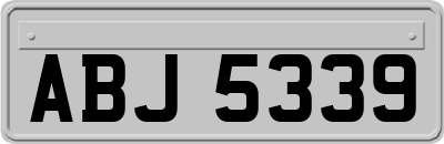 ABJ5339