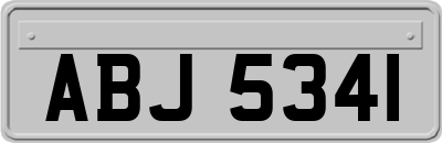 ABJ5341