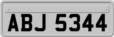 ABJ5344