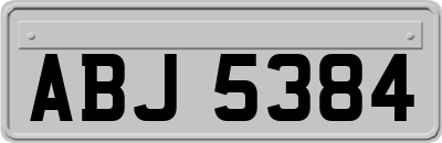 ABJ5384