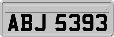 ABJ5393