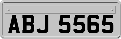ABJ5565
