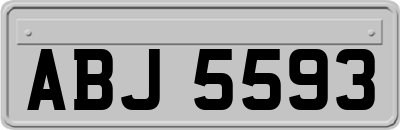 ABJ5593