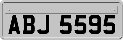 ABJ5595